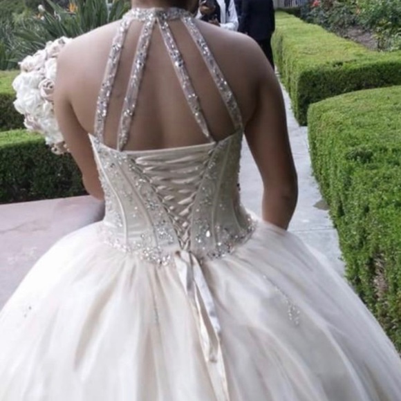 Champagne Color Dress - Picture 3 of 5